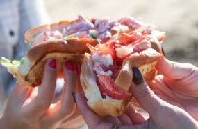 Hands holding a loaded sandwich