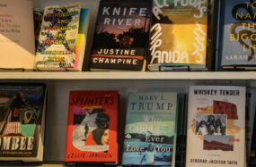 Bookshelf filled with colorful book covers