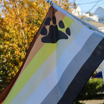 Bear Pride flag with paw print